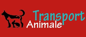 De ce sa apelezi la o firma de transport international de animale